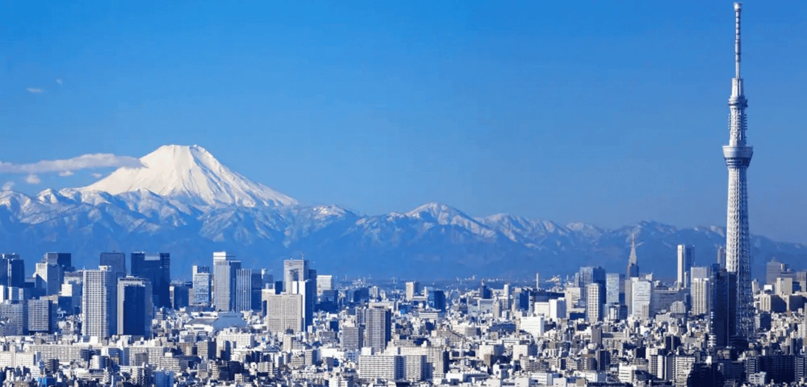 Tokyo Chauffeur Service — section 3